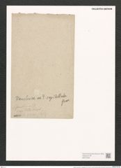 Synedra vaucheriae var. capitellata Grun. (de-Toni-Nr.: Genus 66, Species 2583) Zeichnungen Sammlung Grunow (NHMW-BOT-W0373500)